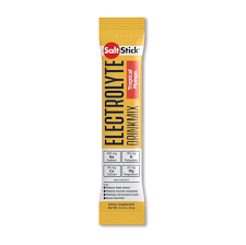Saltstick Electrolyte Drink Mix- Tropical Mango (Per pack)